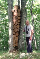 Boris Pecigoš i "Stražar" na Land art stazi na Učki
