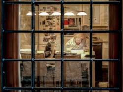 Čedomil Gros, Pažljivi promatrač