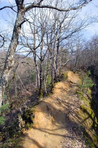 Jelena Martinović, ''Puteljak sreće''