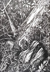 Jasenka Smrekar, ''Starost'', tuš na papiru, 41x29 cm