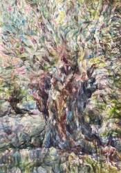 Morana Jugović: ''Maslina'', akvarel, 100x70 cm